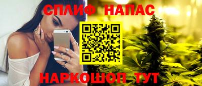 амф Кингисепп