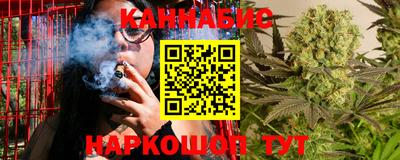 амф Кингисепп