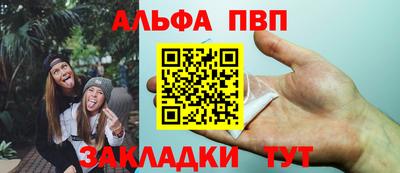 амф Кингисепп