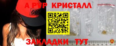 амф Кингисепп
